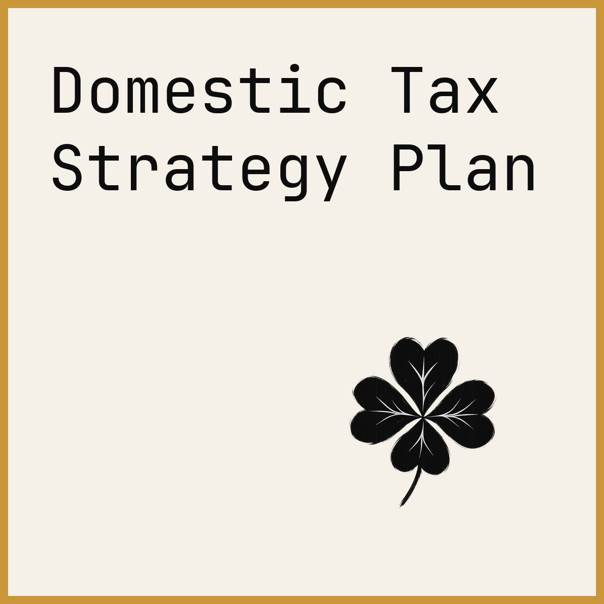 Domestic Tax Strategy Plan