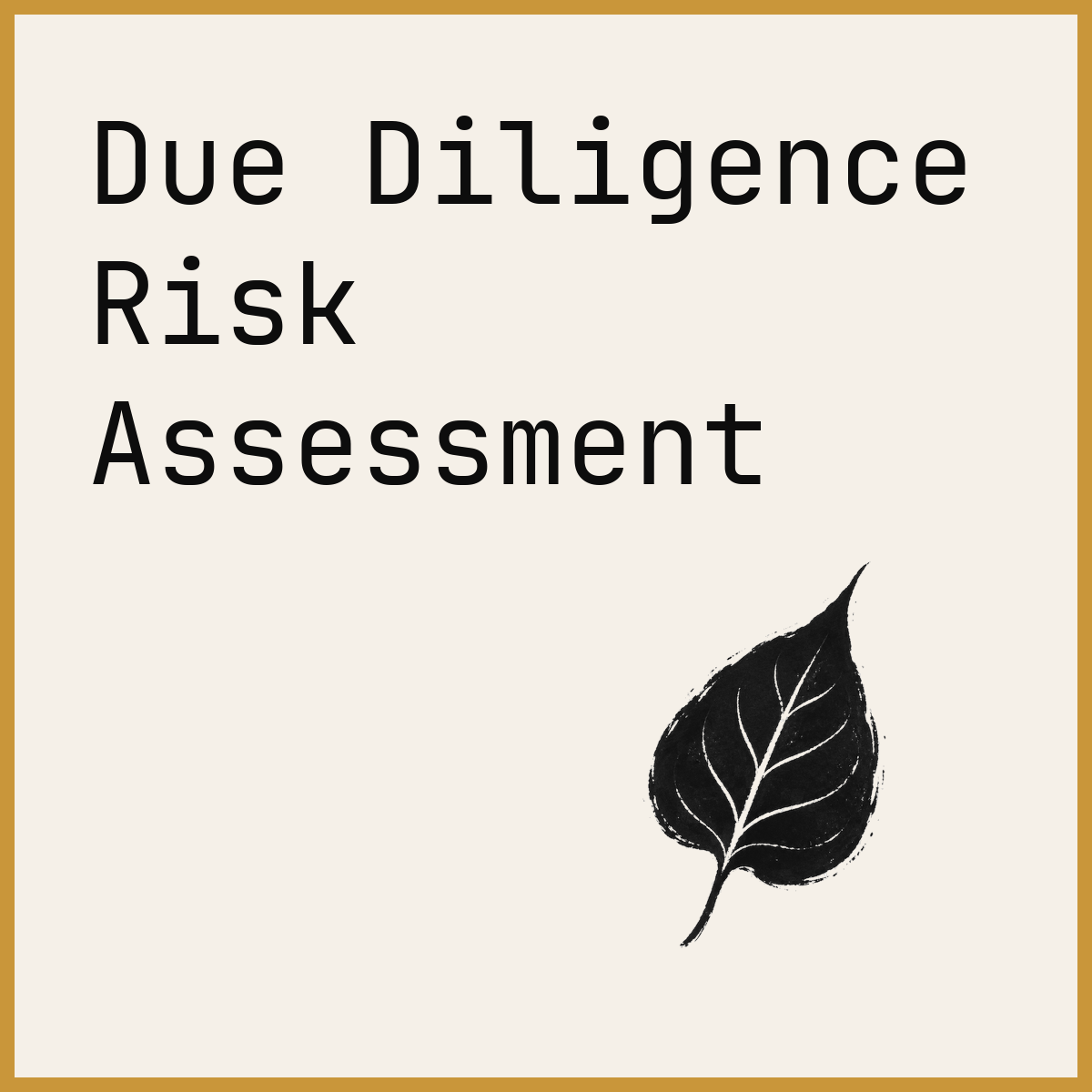 Due Diligence Risk Assessment