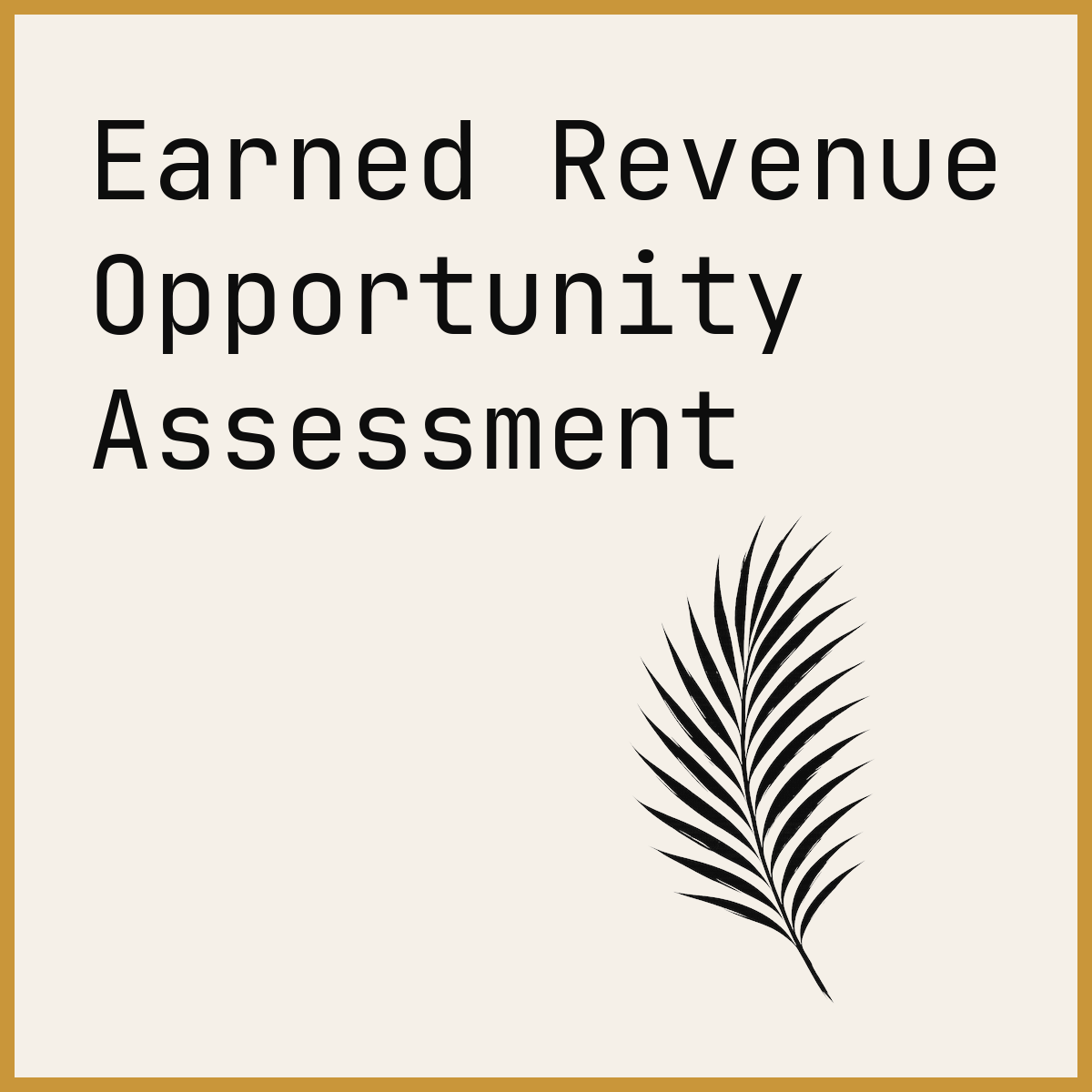 Earned Revenue Opportunity Assessment