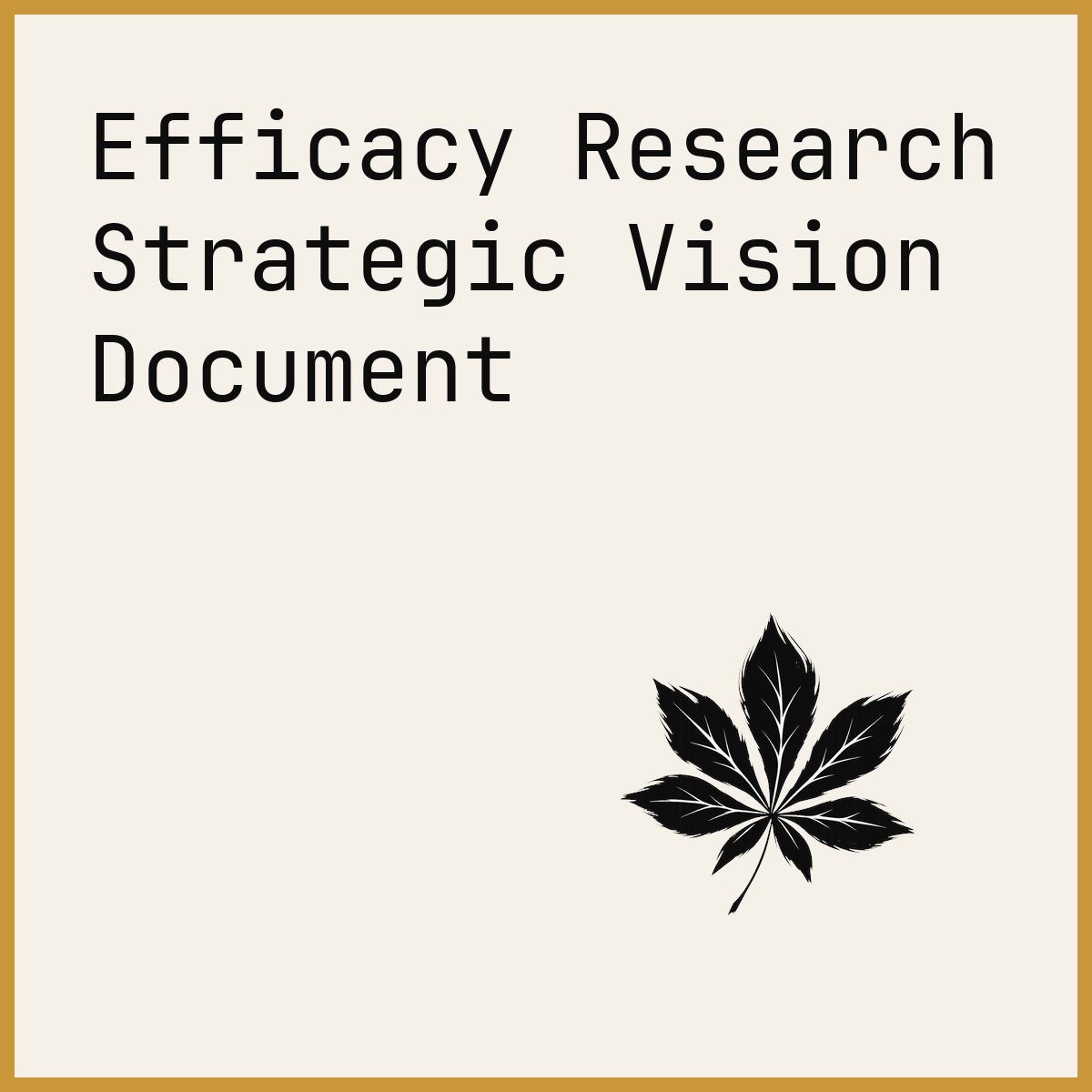 Efficacy Research Strategic Vision Document