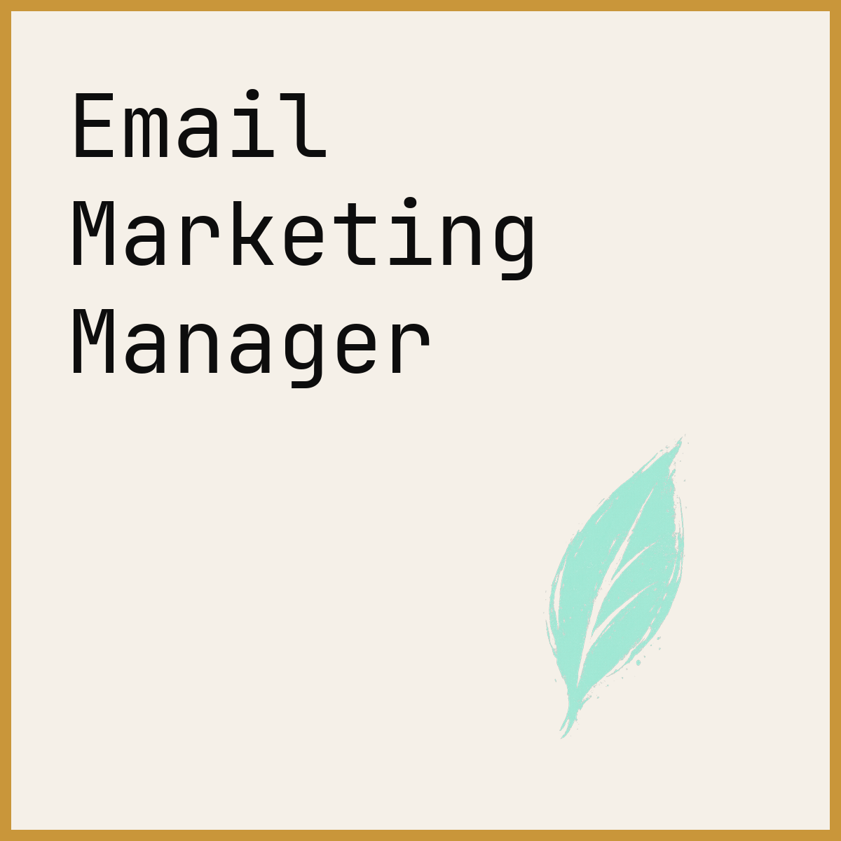 Email Marketing Manager