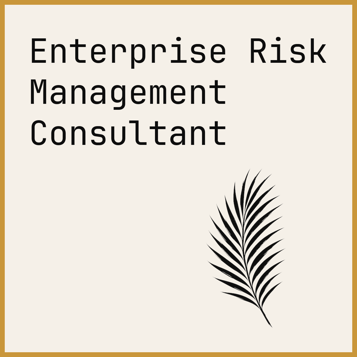 Enterprise Risk Management Consultant