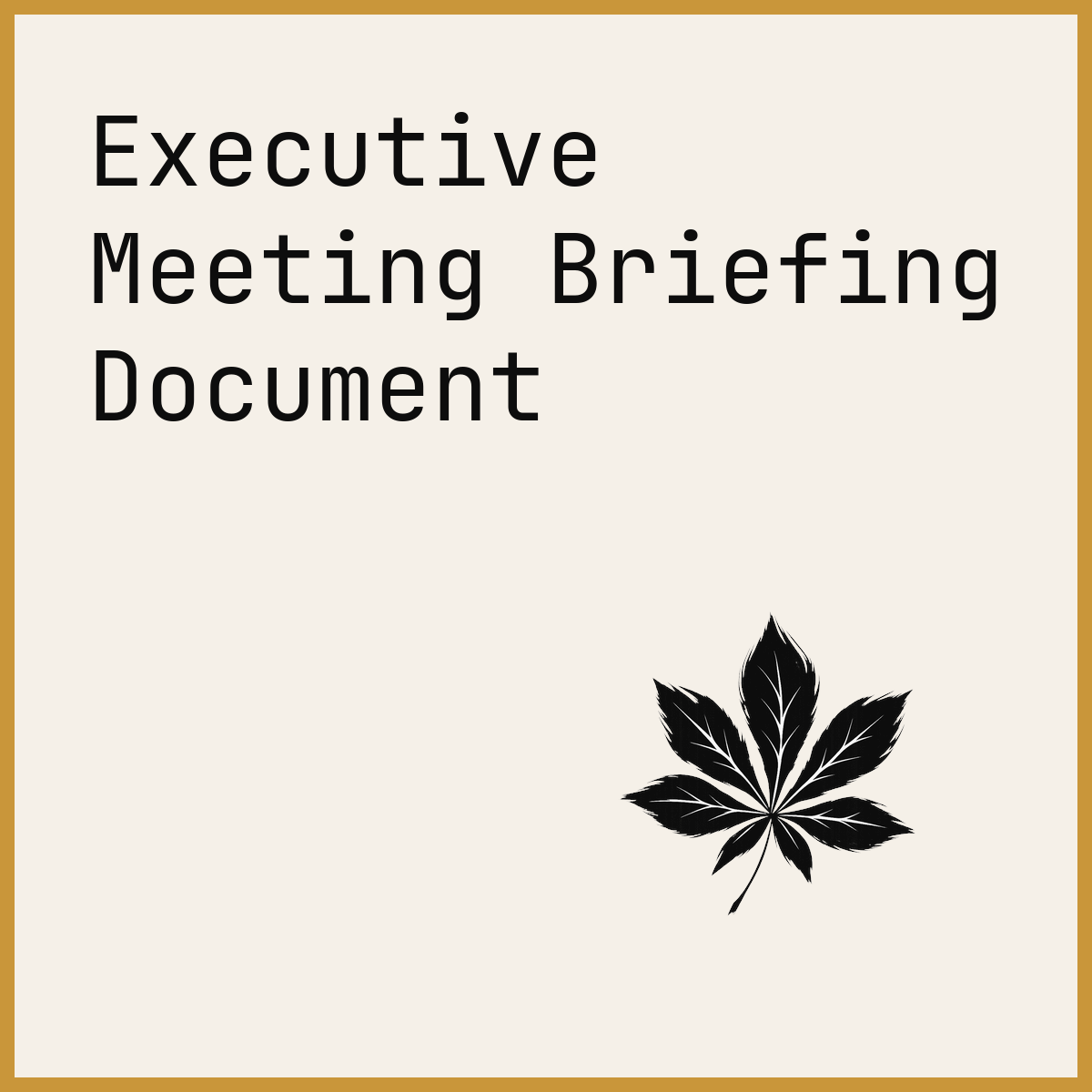 Executive Meeting Briefing Document