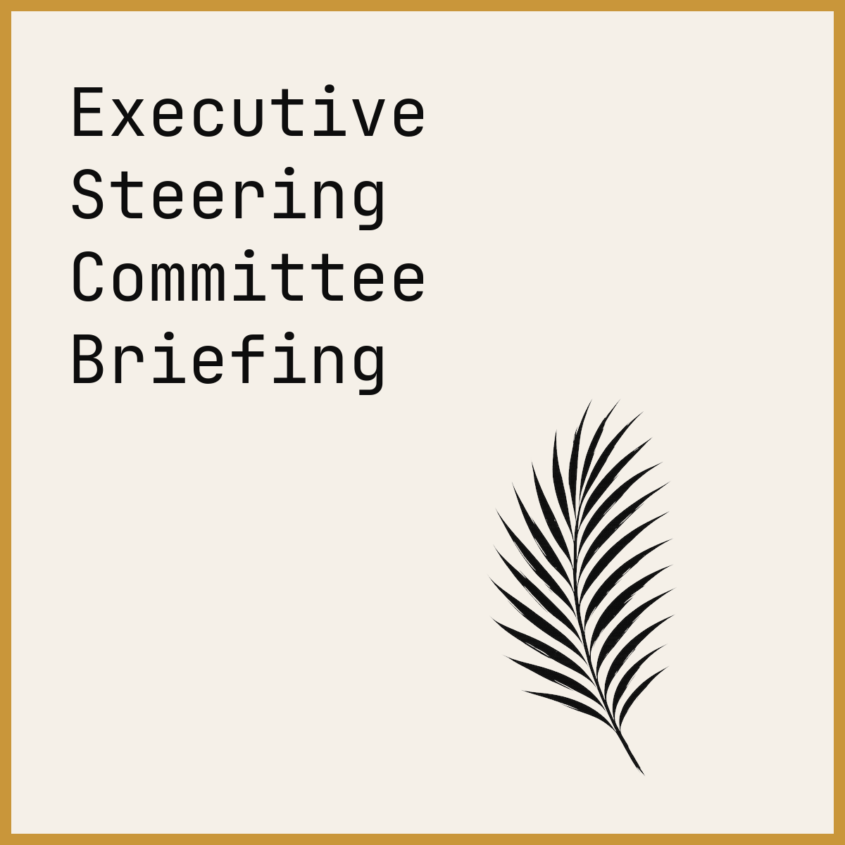 Executive Steering Committee Briefing