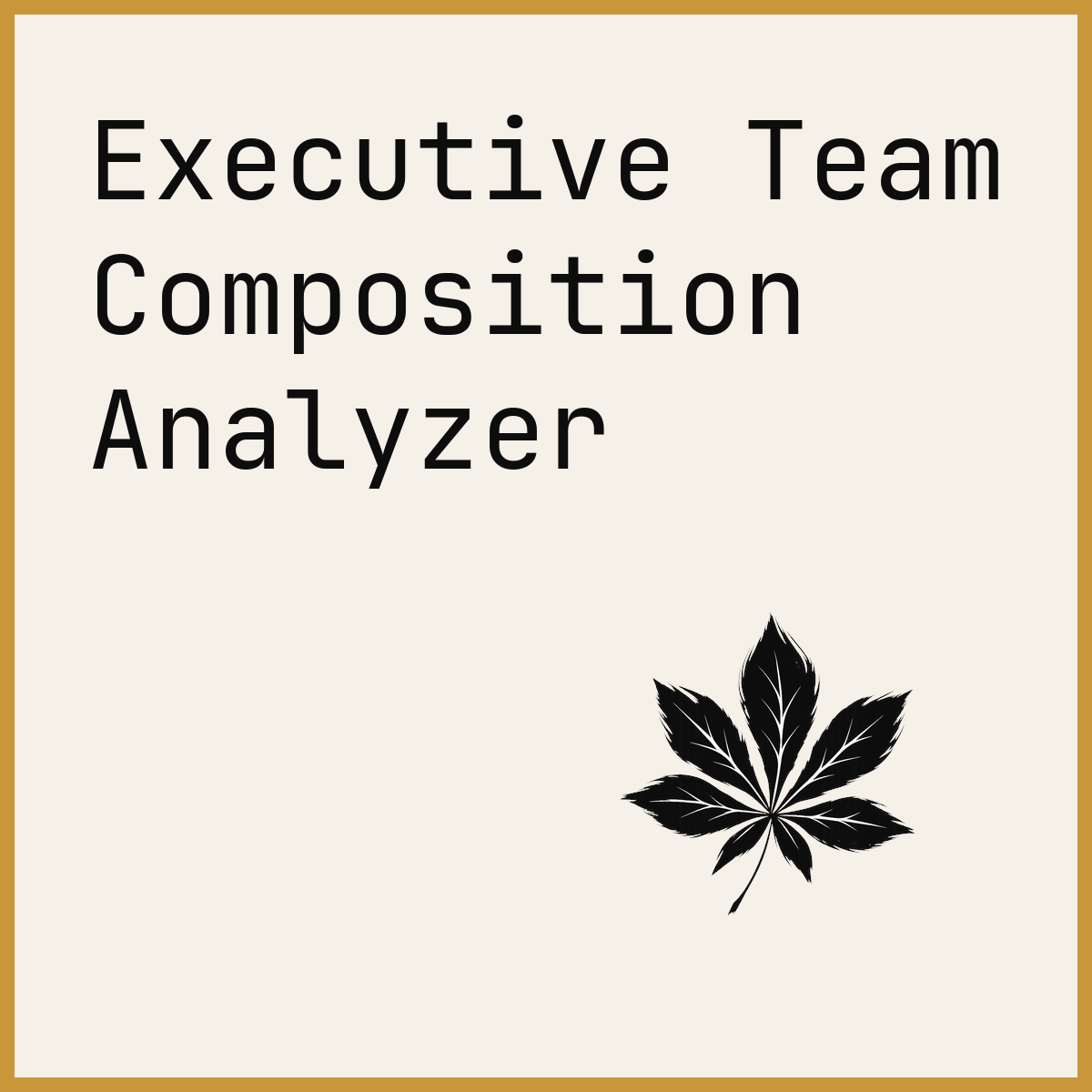 Executive Team Composition Analyzer