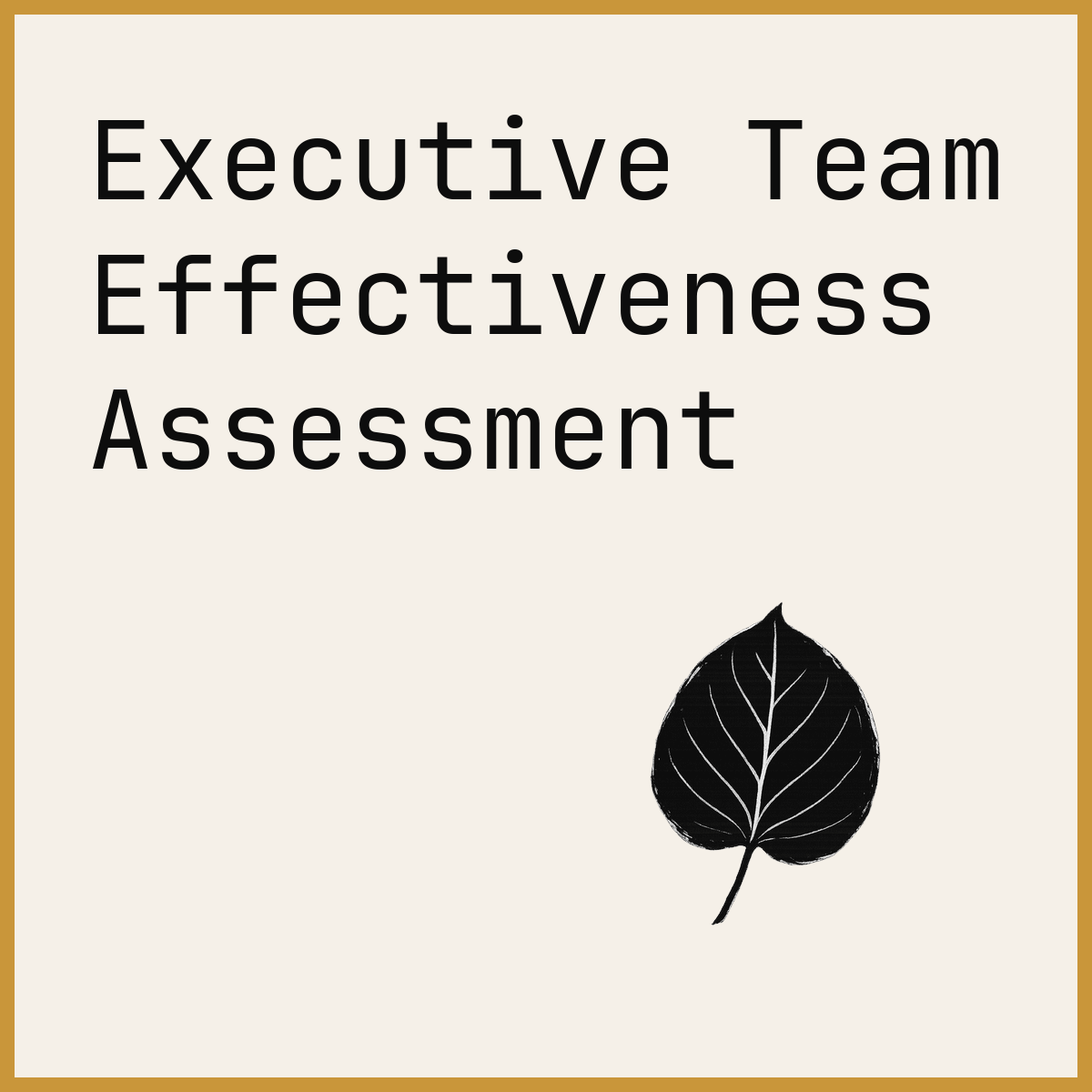 Executive Team Effectiveness Assessment