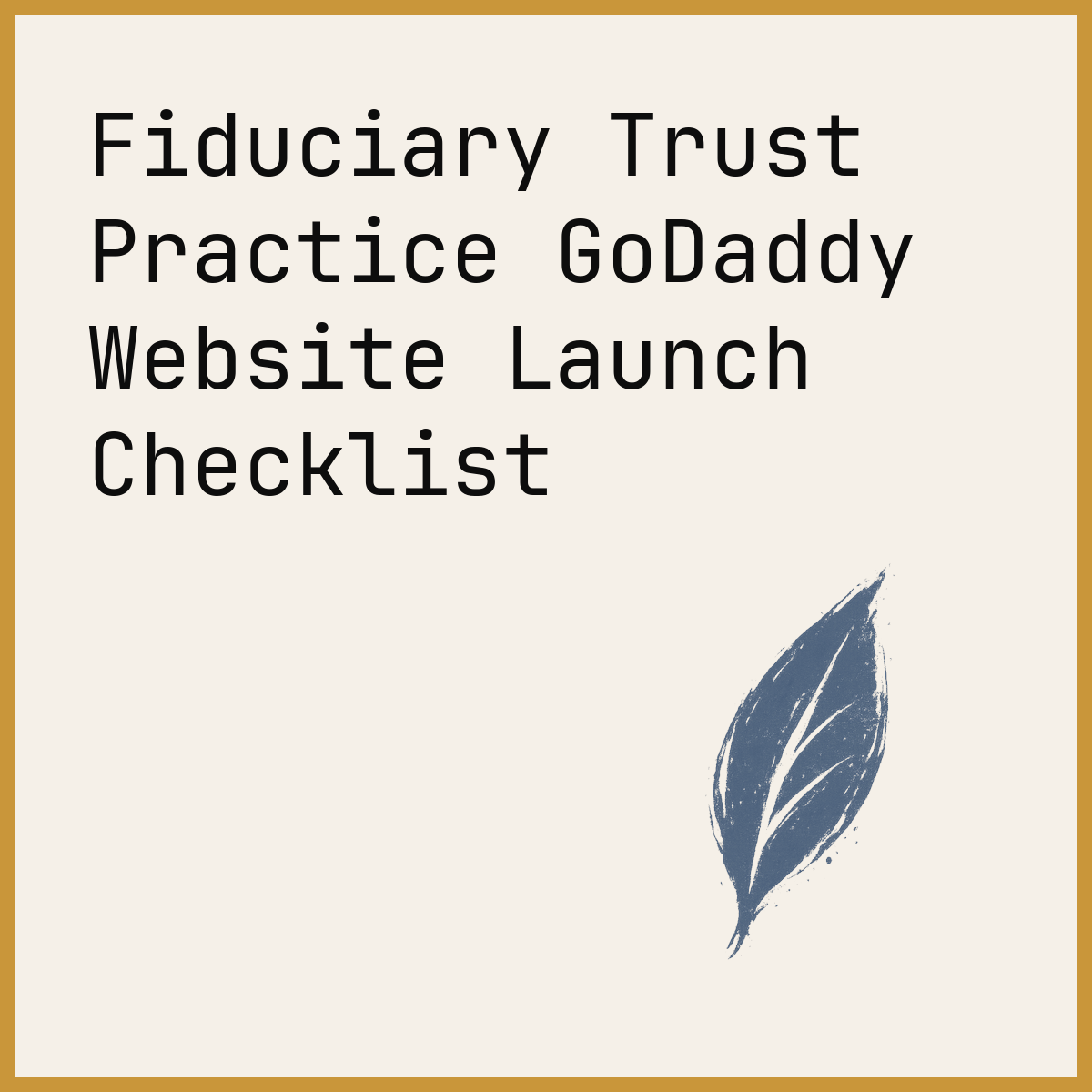 Fiduciary Trust Practice GoDaddy Website Launch Checklist