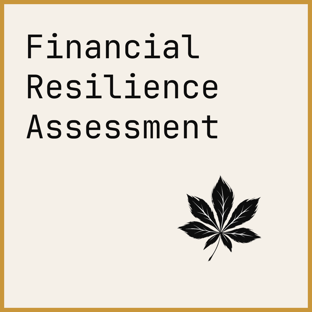 Financial Resilience Assessment