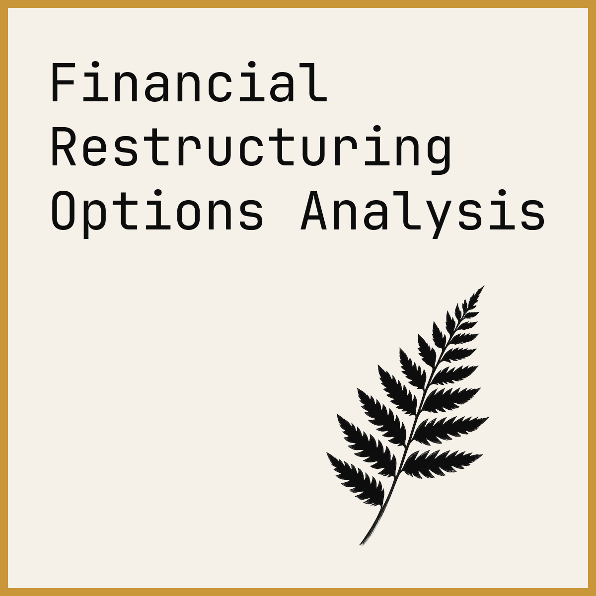 Financial Restructuring Options Analysis