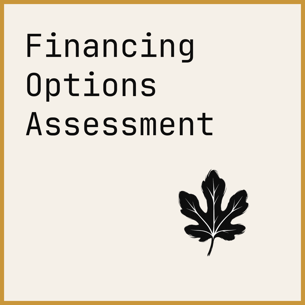 Financing Options Assessment