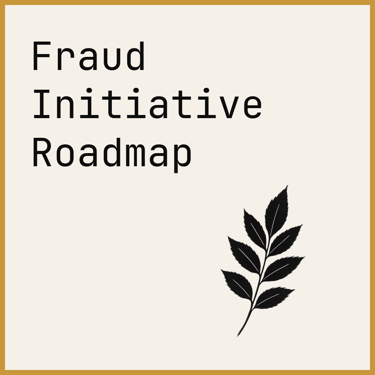 Fraud Initiative Roadmap