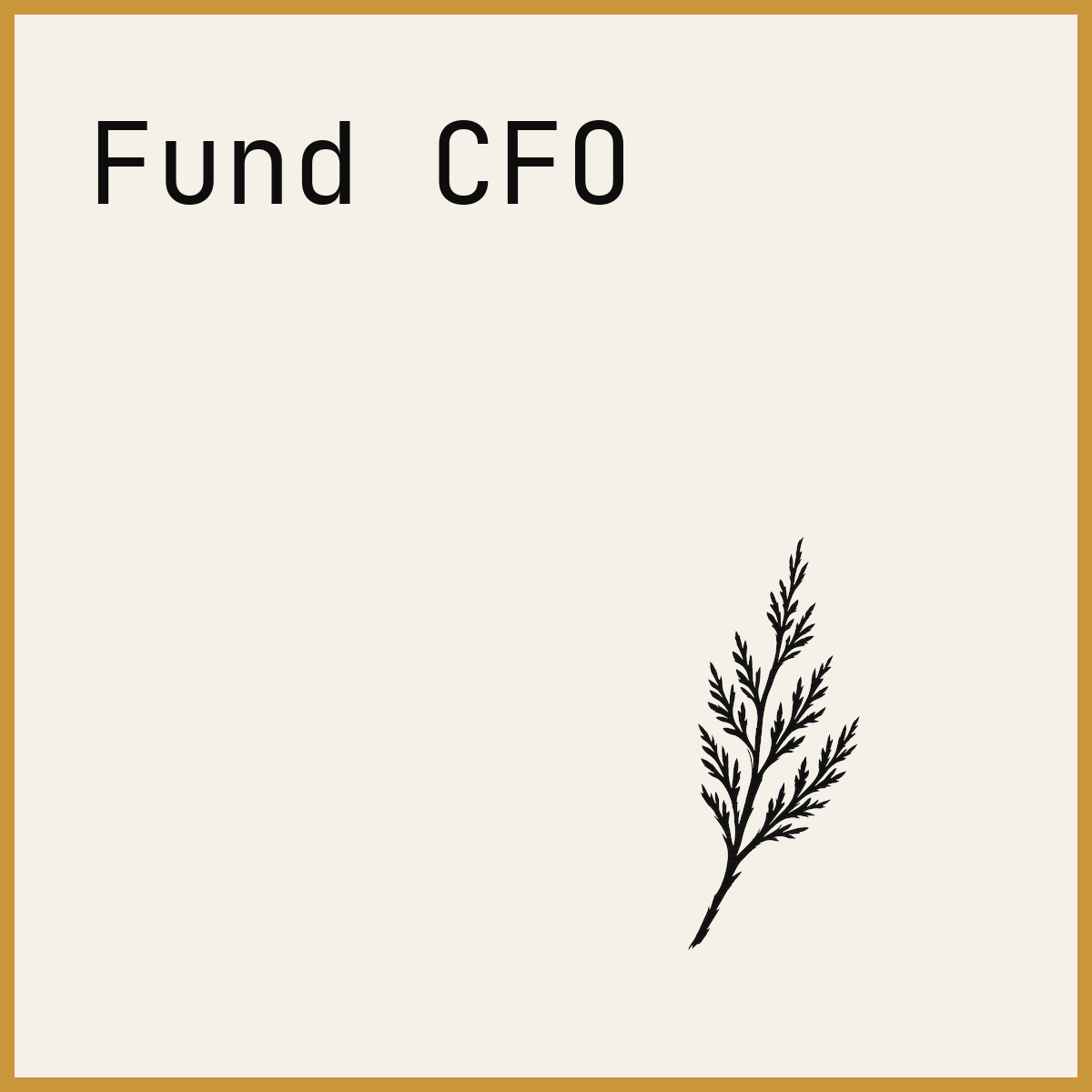 Fund CFO