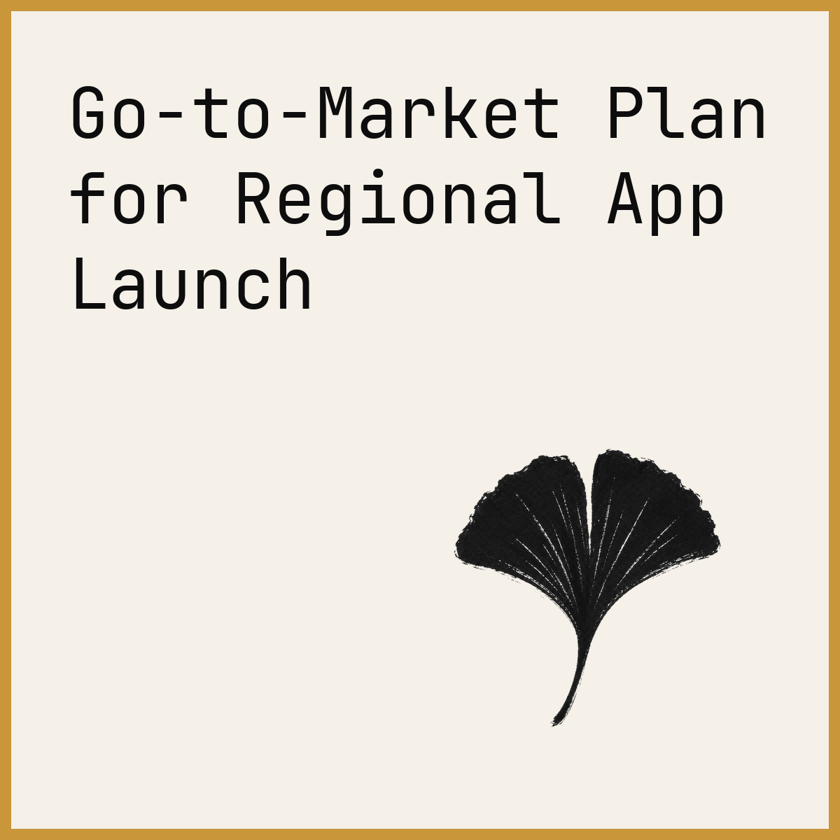 Go-to-Market Plan for Regional App Launch