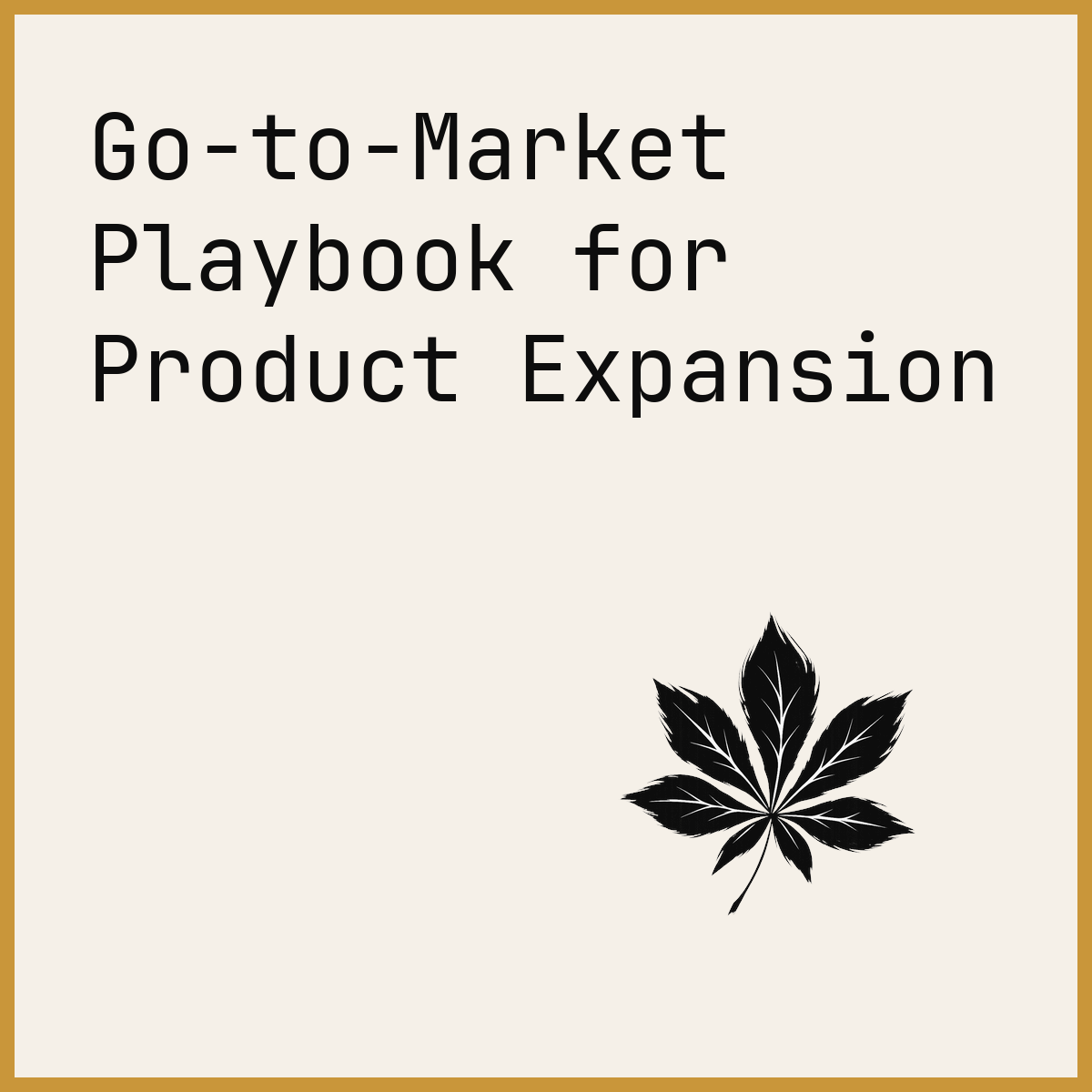 Go-to-Market Playbook for Product Expansion