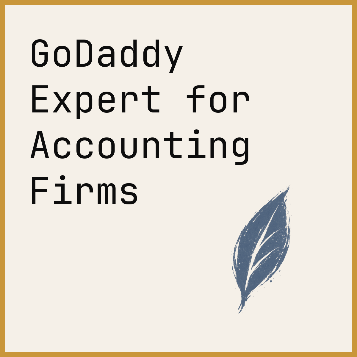 GoDaddy Expert for Accounting Firms