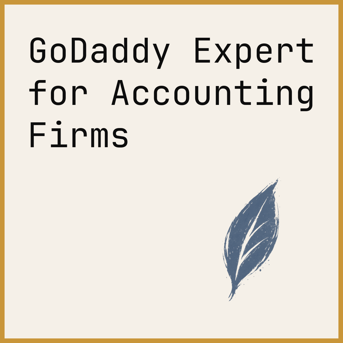 GoDaddy Expert for Accounting Firms