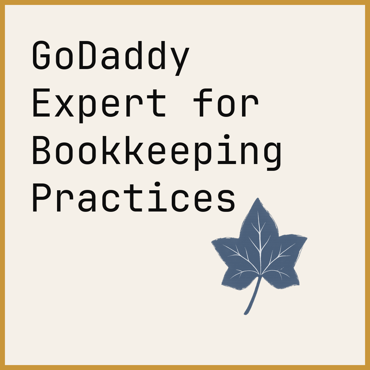 GoDaddy Expert for Bookkeeping Practices