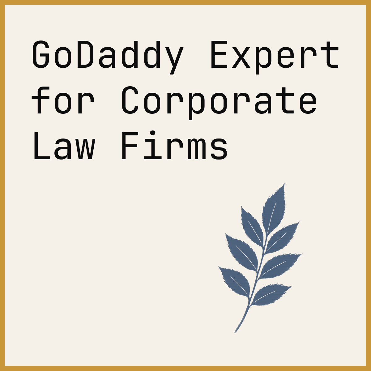 GoDaddy Expert for Corporate Law Firms