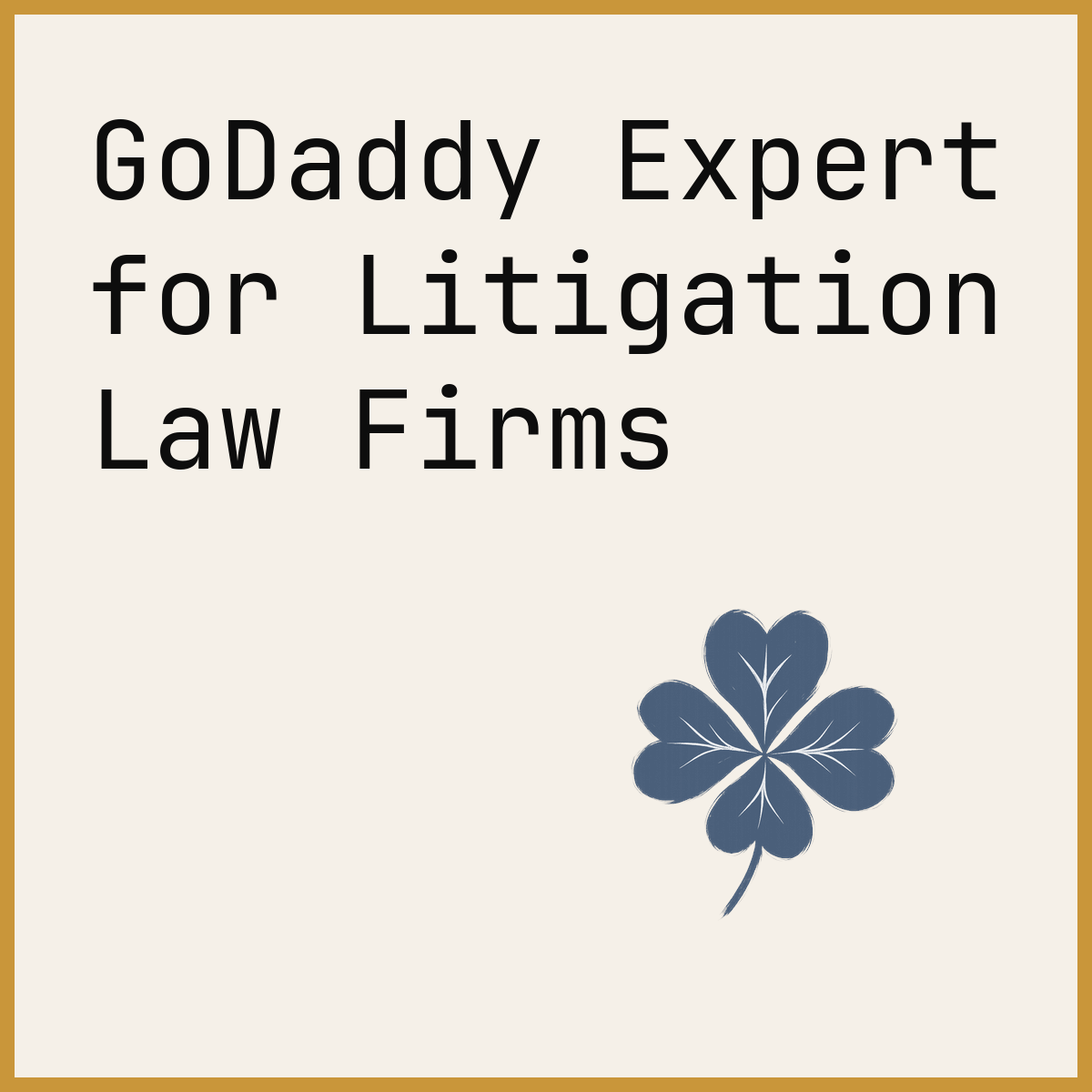 GoDaddy Expert for Litigation Law Firms