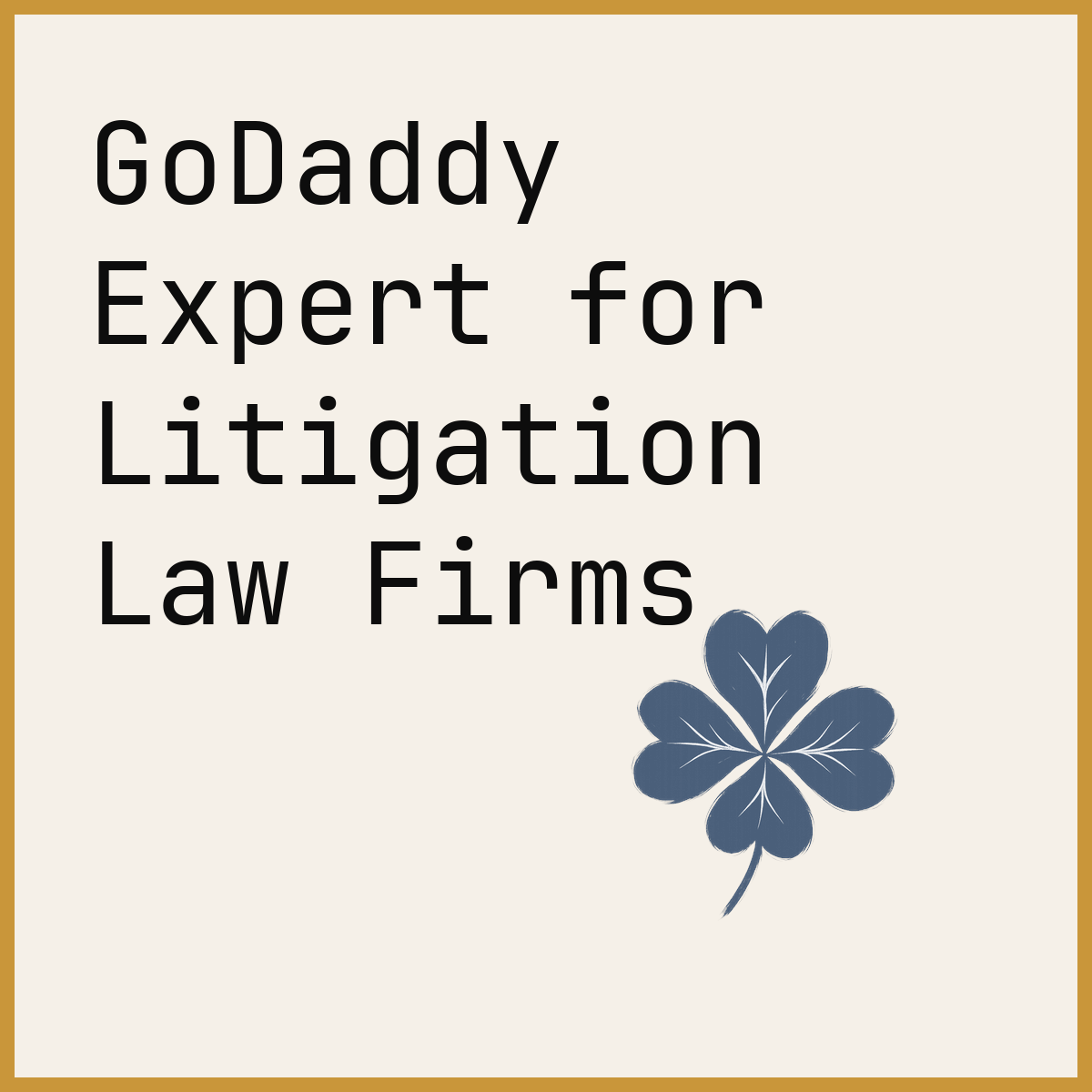 GoDaddy Expert for Litigation Law Firms