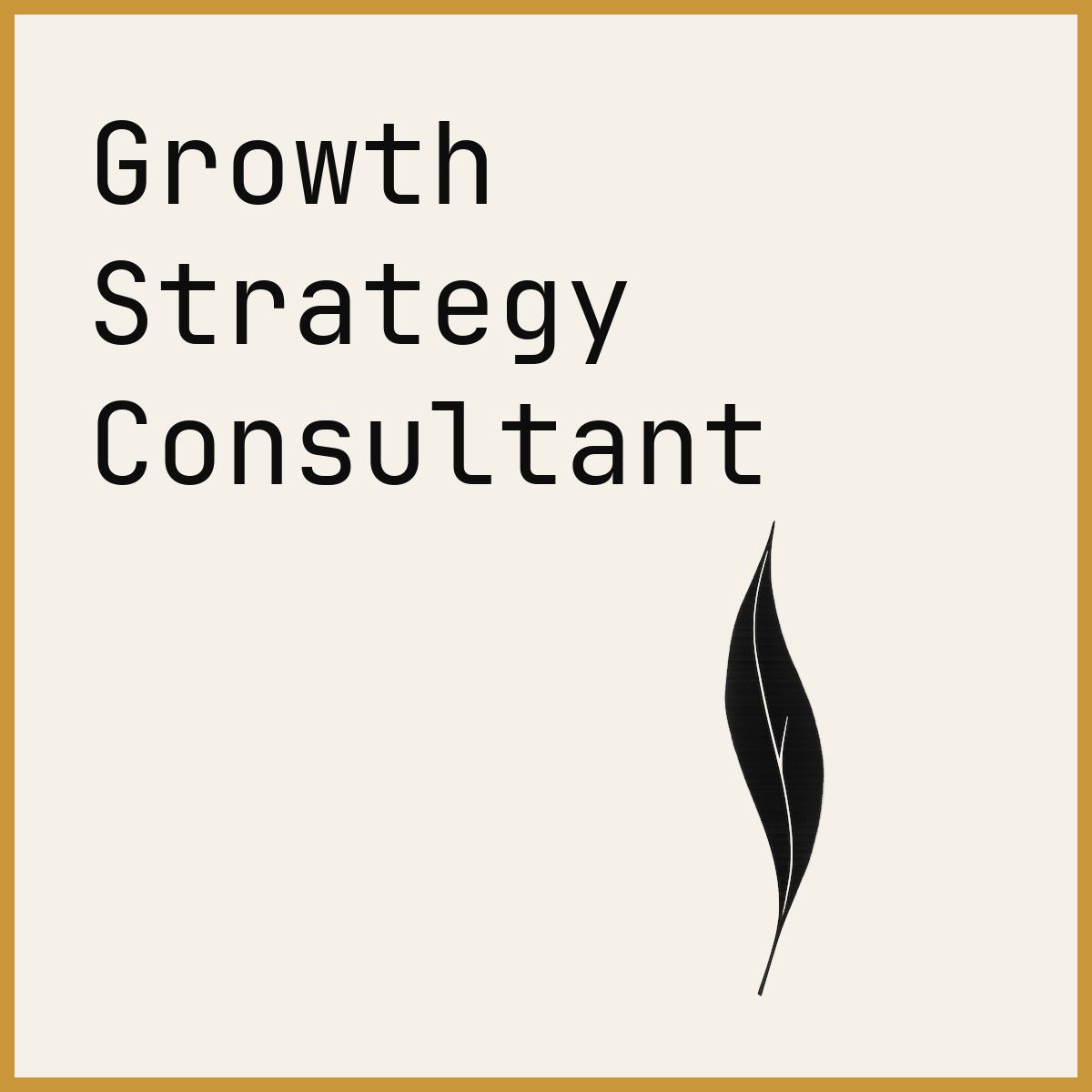 Growth Strategy Consultant