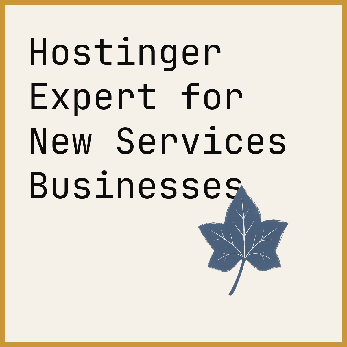 Hostinger Expert for New Services Businesses