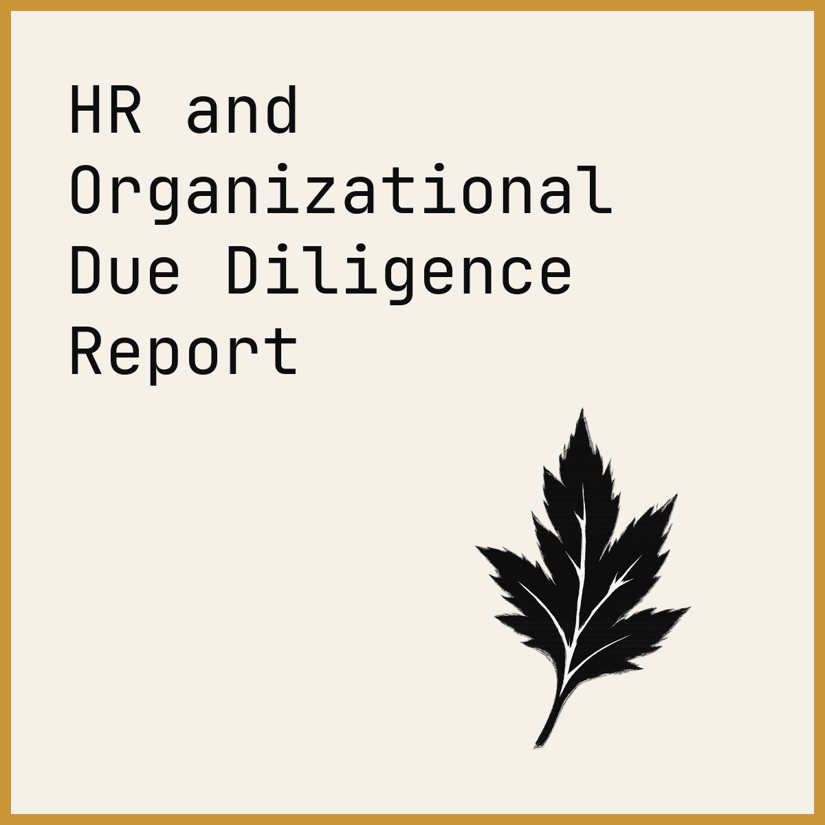 HR and Organizational Due Diligence Report