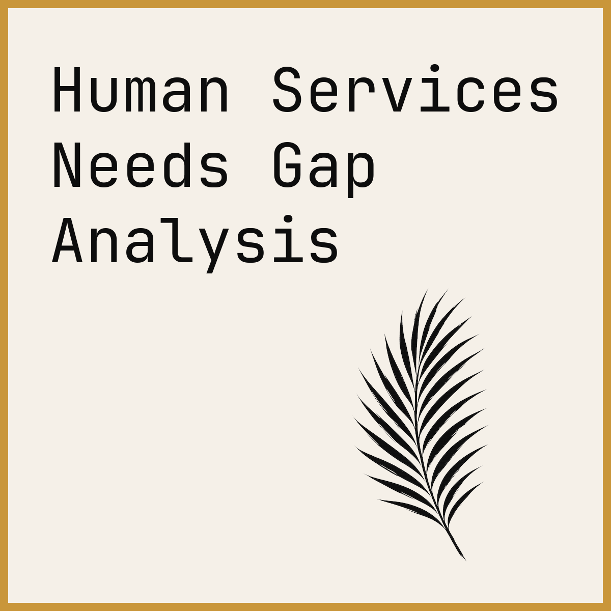 Human Services Needs Gap Analysis