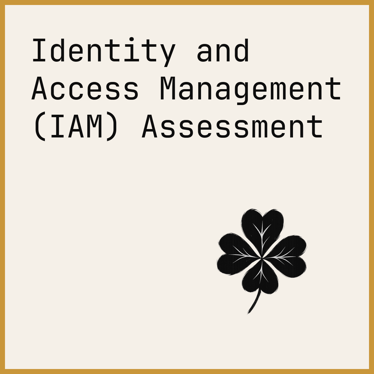 Identity and Access Management (IAM) Assessment