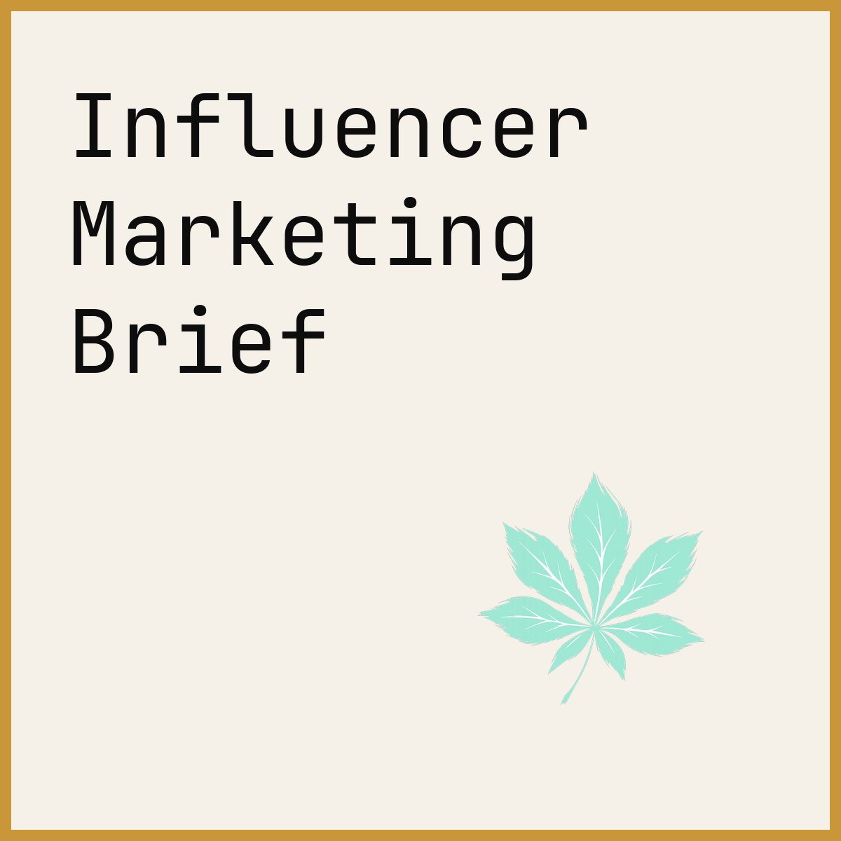 Influencer Marketing Brief