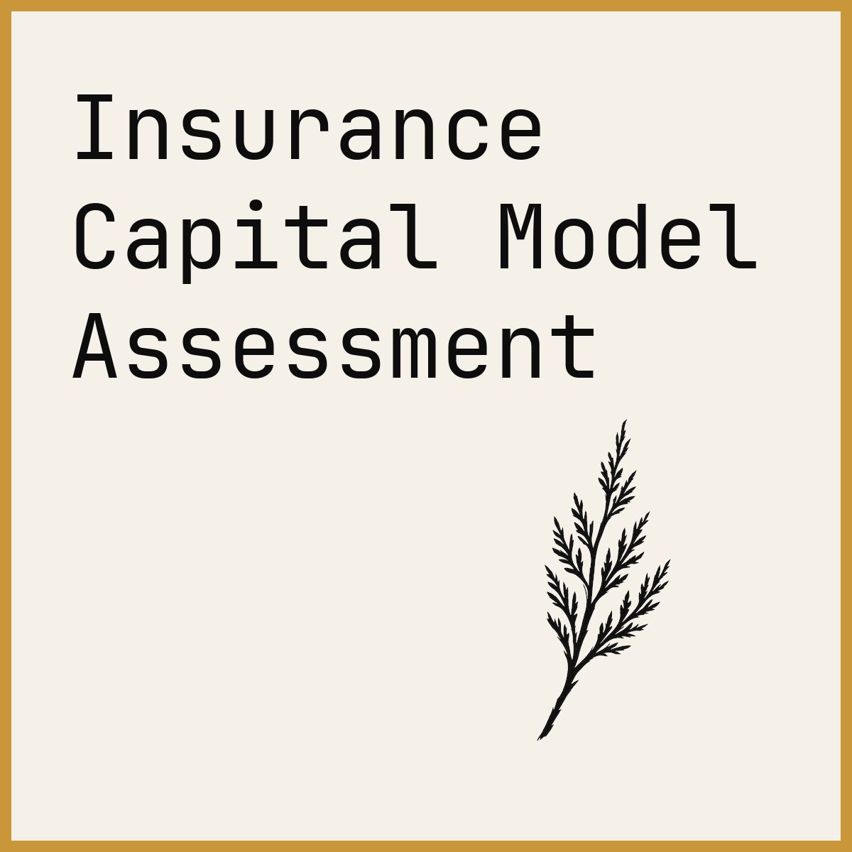 Insurance Capital Model Assessment