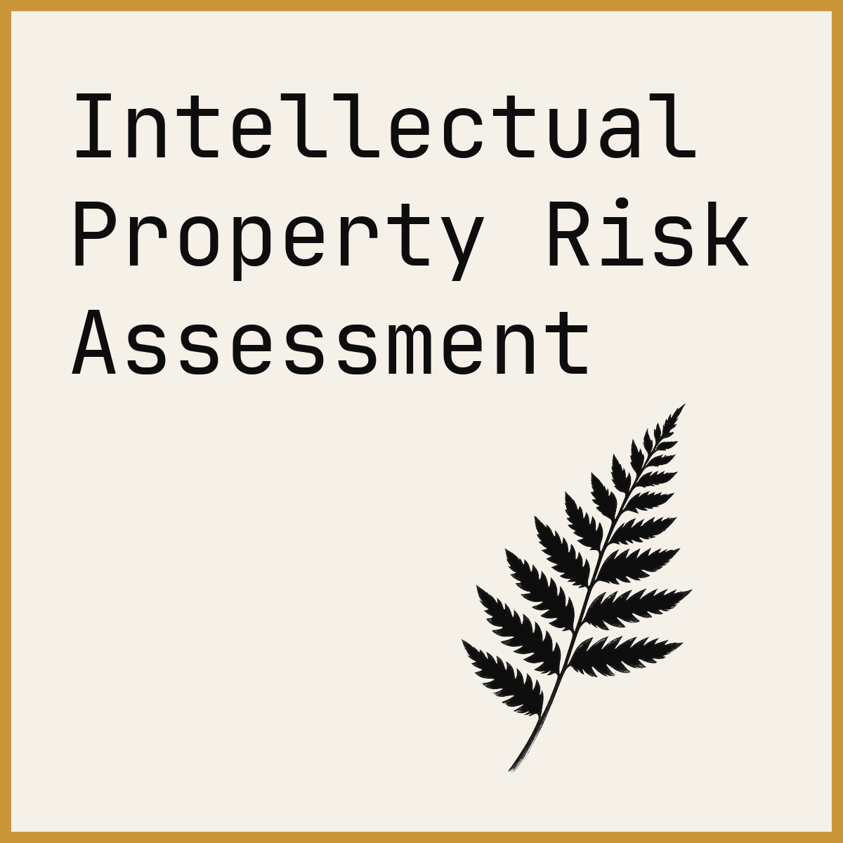 Intellectual Property Risk Assessment