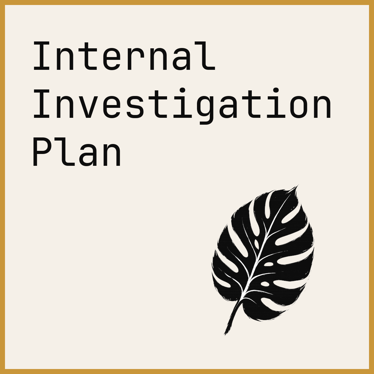 Internal Investigation Plan