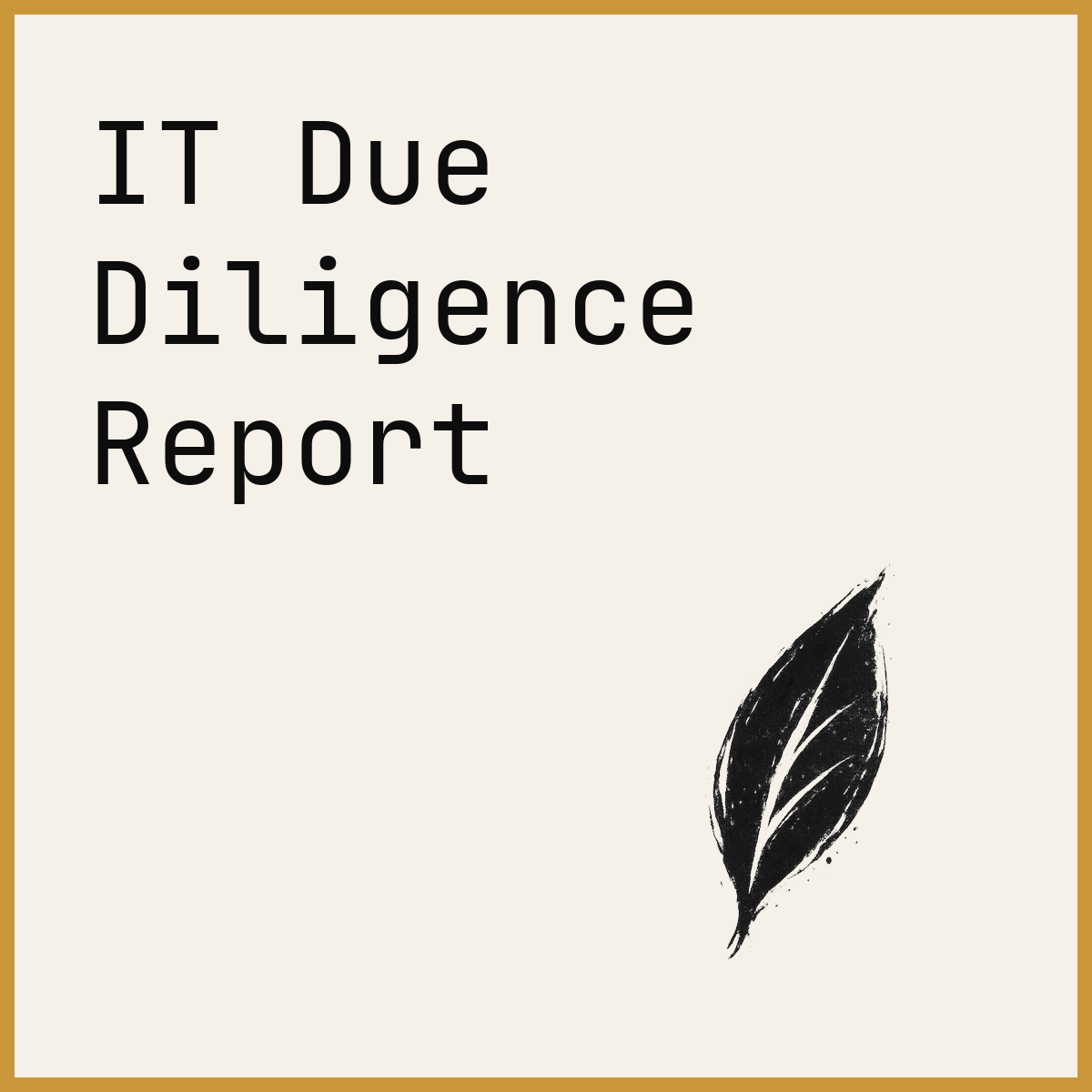 IT Due Diligence Report