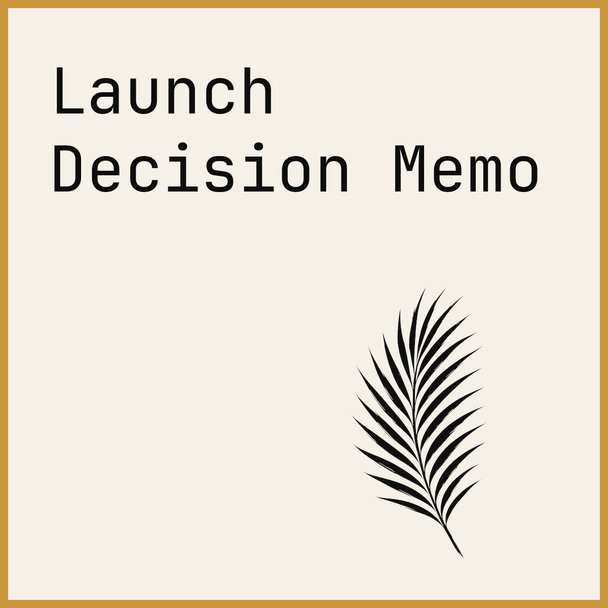 Launch Decision Memo