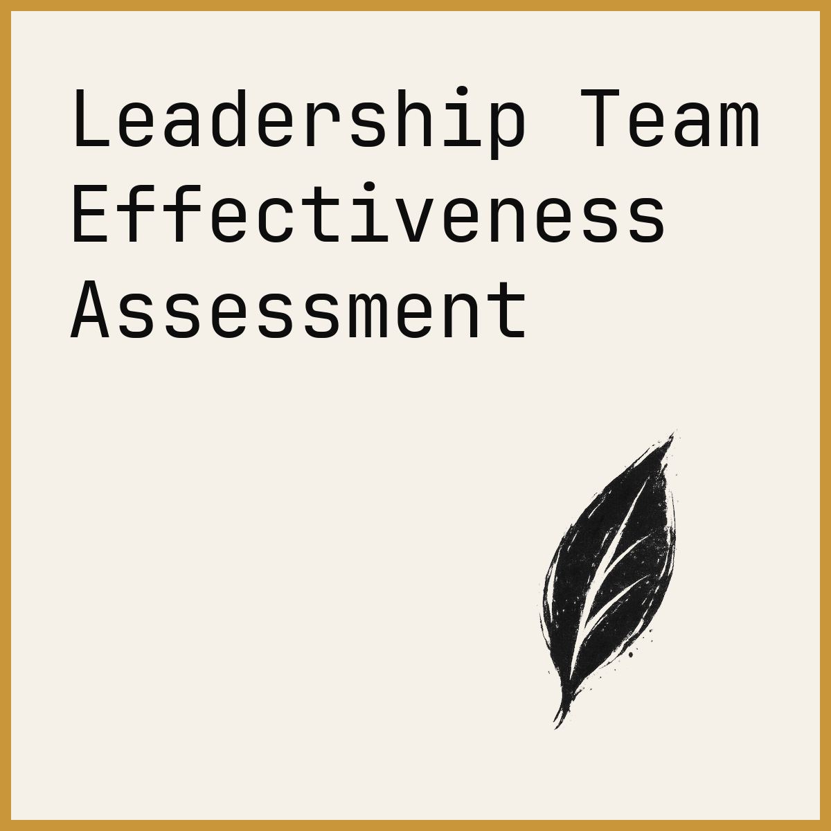 Leadership Team Effectiveness Assessment