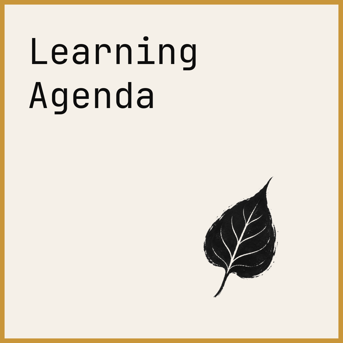 Learning Agenda
