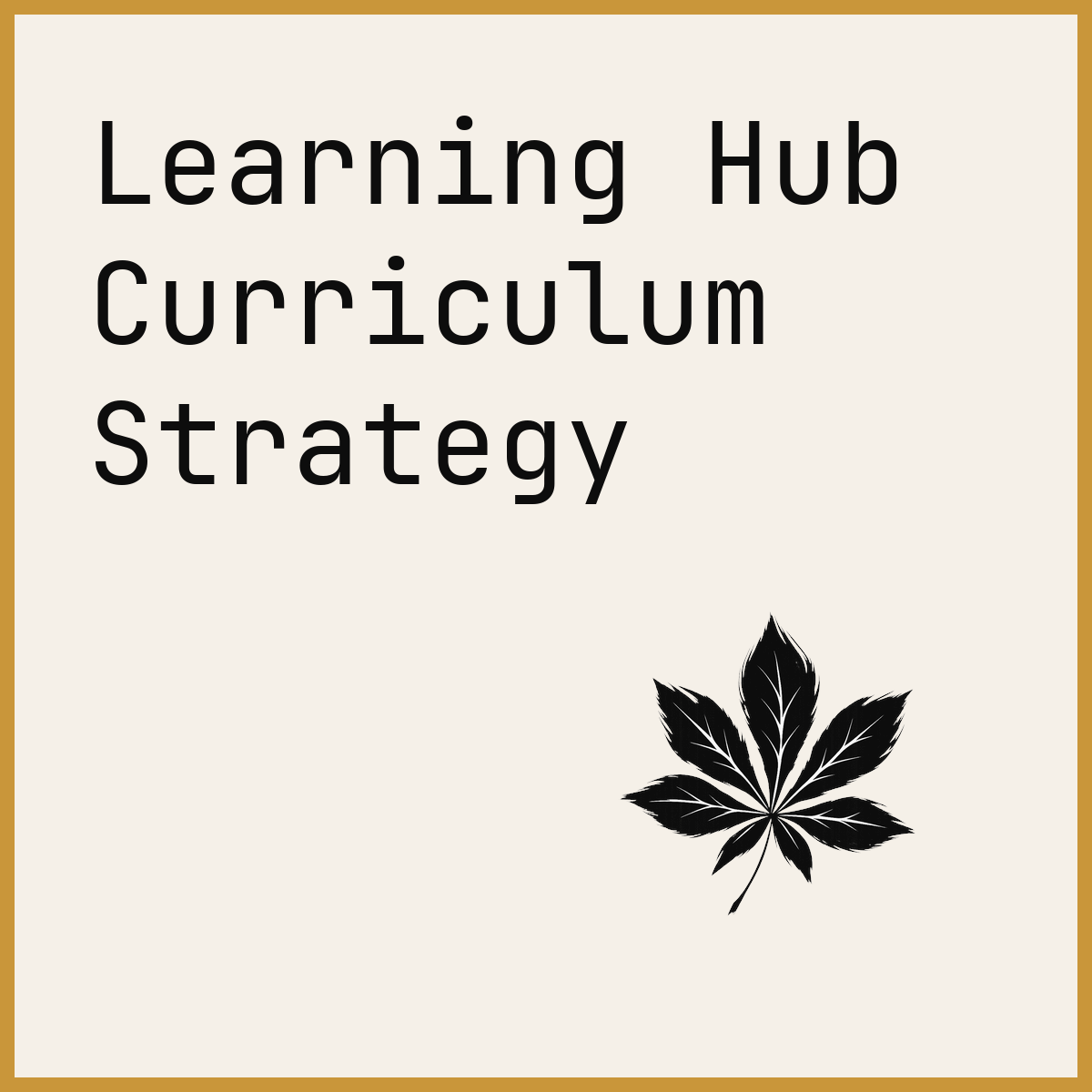 Learning Hub Curriculum Strategy
