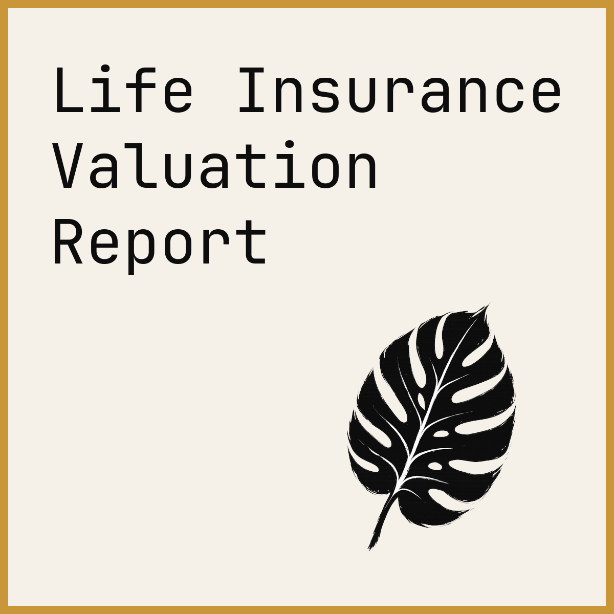 Life Insurance Valuation Report