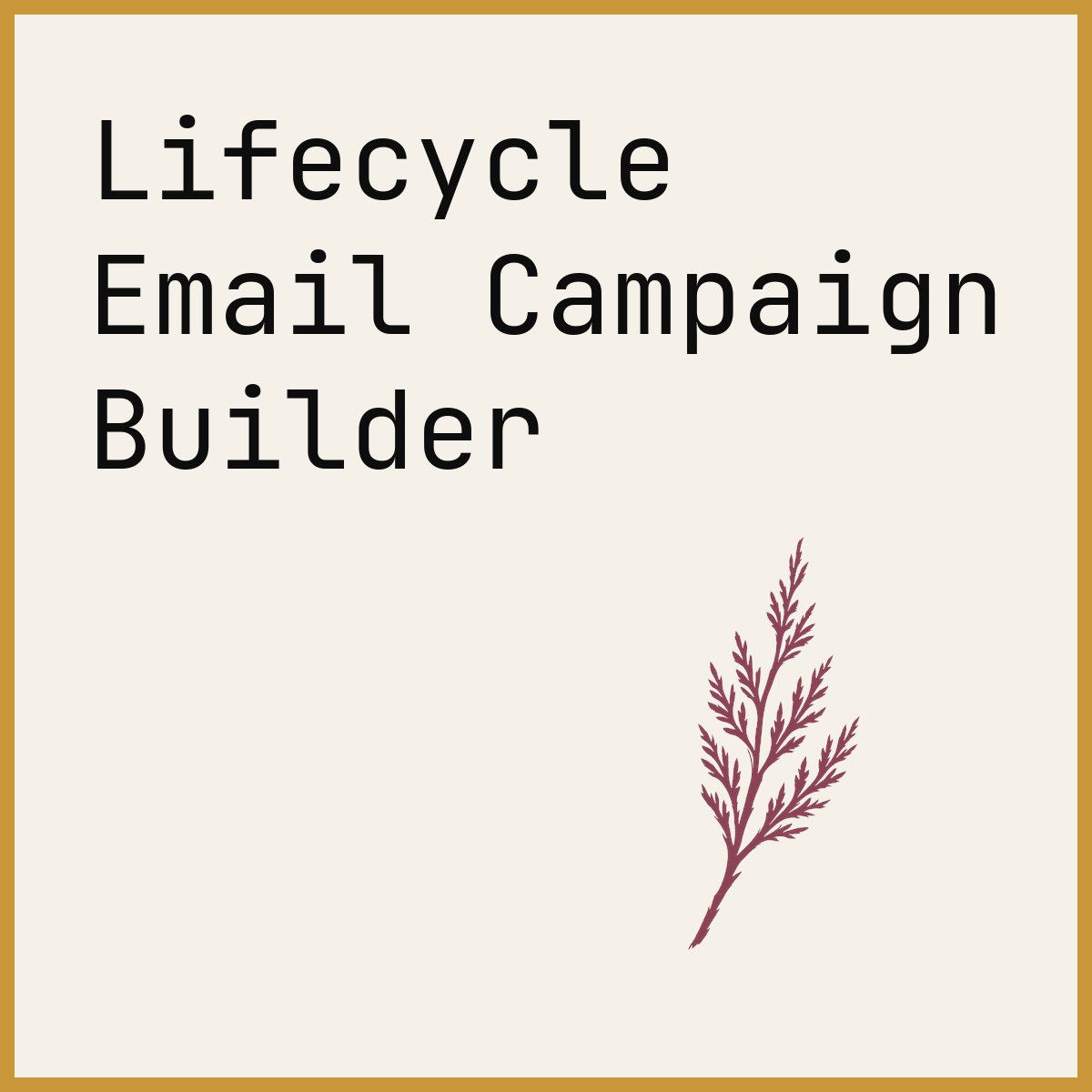 Lifecycle Email Campaign Builder