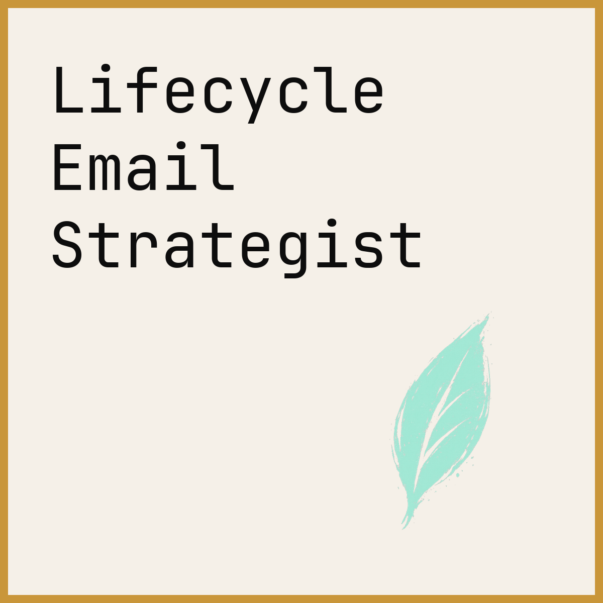 Lifecycle Email Strategist
