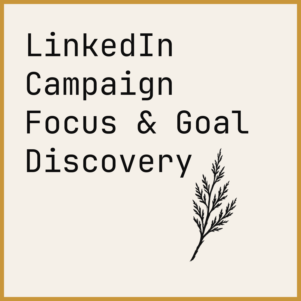 LinkedIn Campaign Focus & Goal Discovery