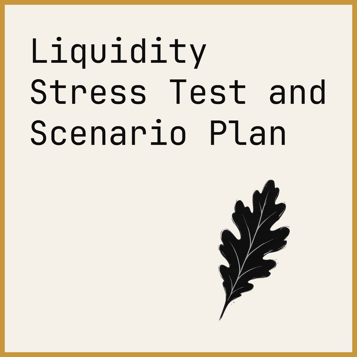 Liquidity Stress Test and Scenario Plan