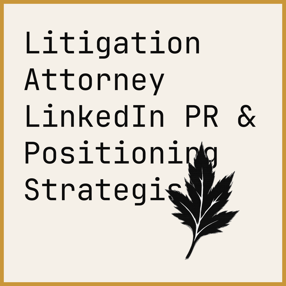 Litigation Attorney LinkedIn PR & Positioning Strategist