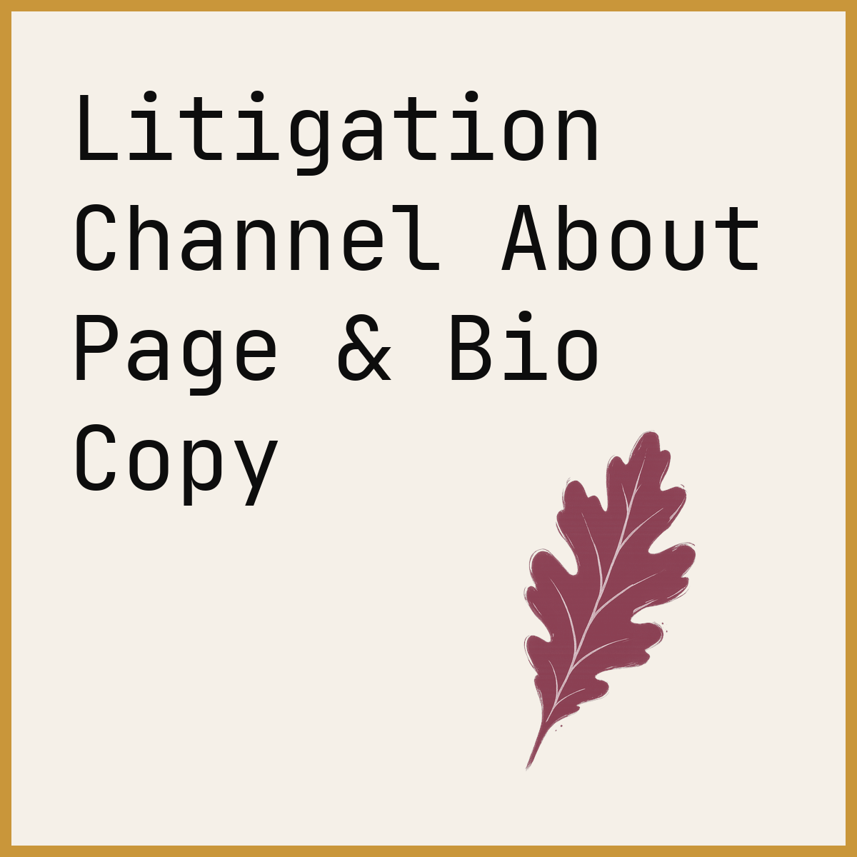 Litigation Channel About Page & Bio Copy