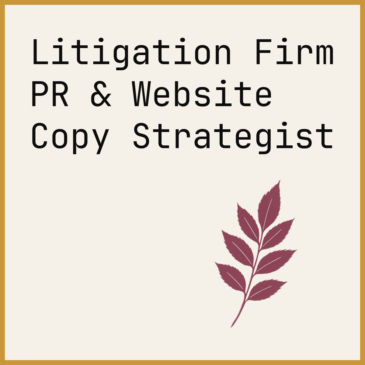 Litigation Firm PR & Website Copy Strategist