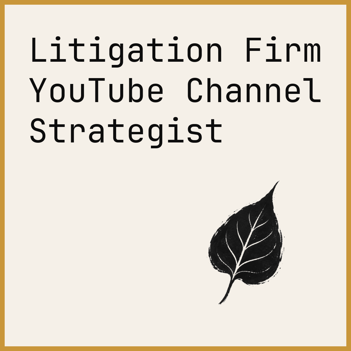 Litigation Firm YouTube Channel Strategist