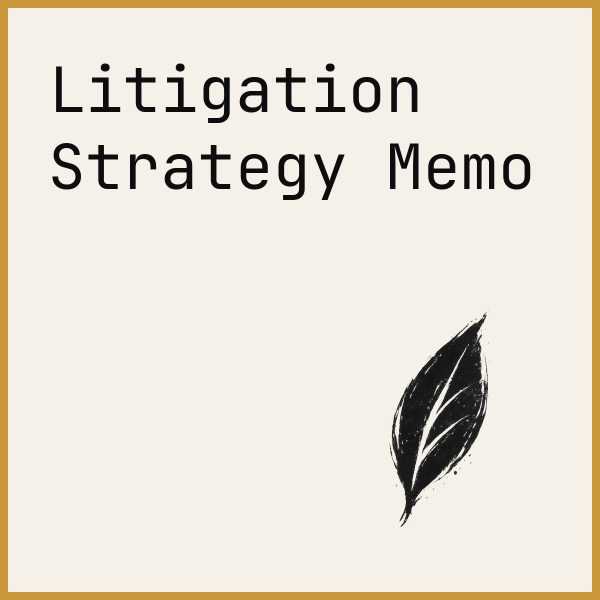 Litigation Strategy Memo