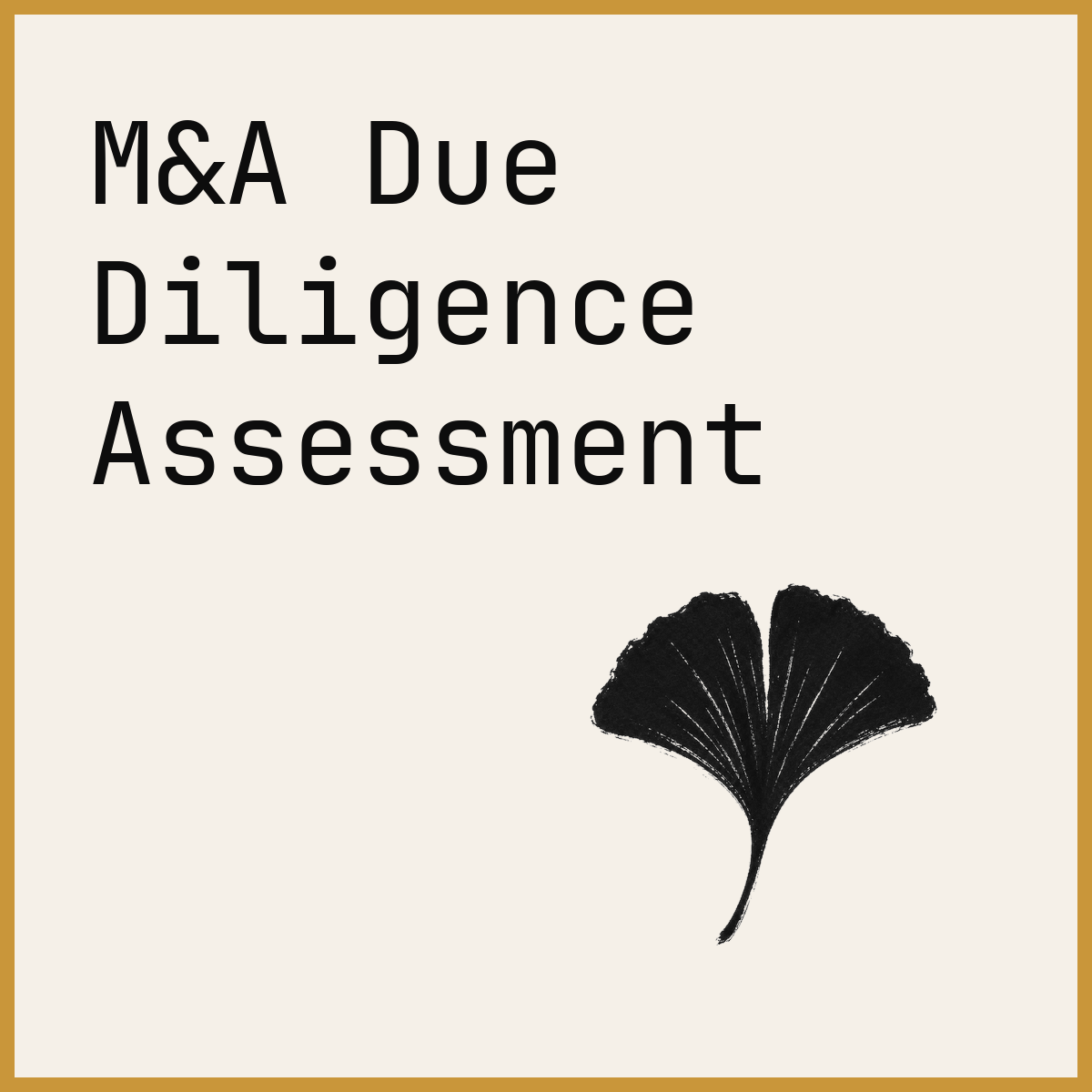 M&A Due Diligence Assessment