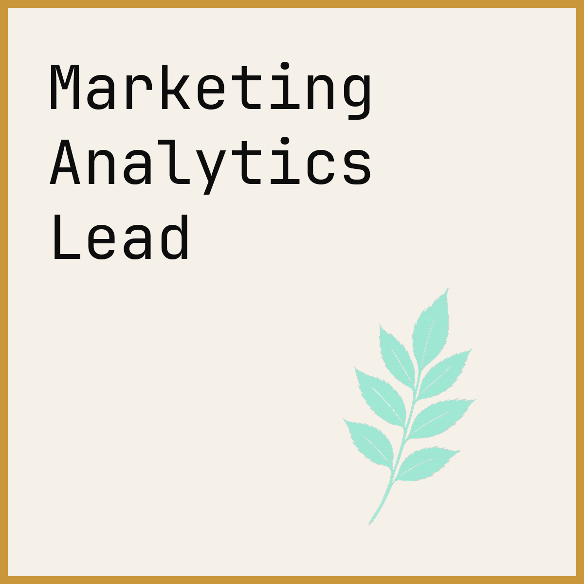 Marketing Analytics Lead